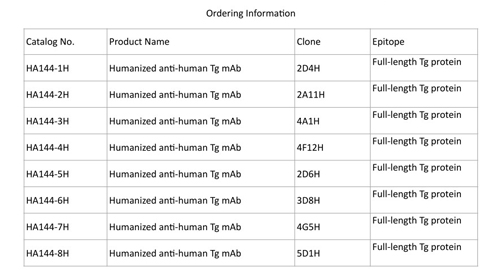 La thyroglobuline (Tg)