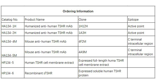 Anti-humains TSHR mAb