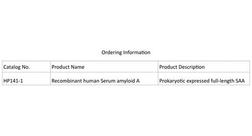 Humaine recombinante Sérum Amyloïde A (SAA)