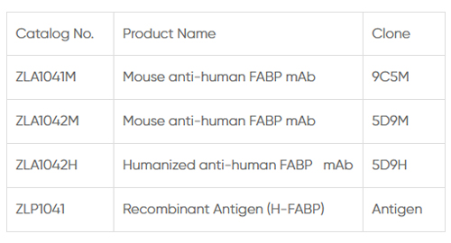 Coeur-type Protéine Liant Les Acides Gras (H-FABP)