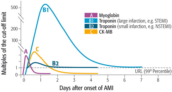 Myo-La première anormalement cardiaque accru protéines marqueur après la lésion myocardique